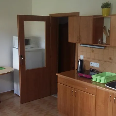 Guest house Chalupa U Pramene 3*